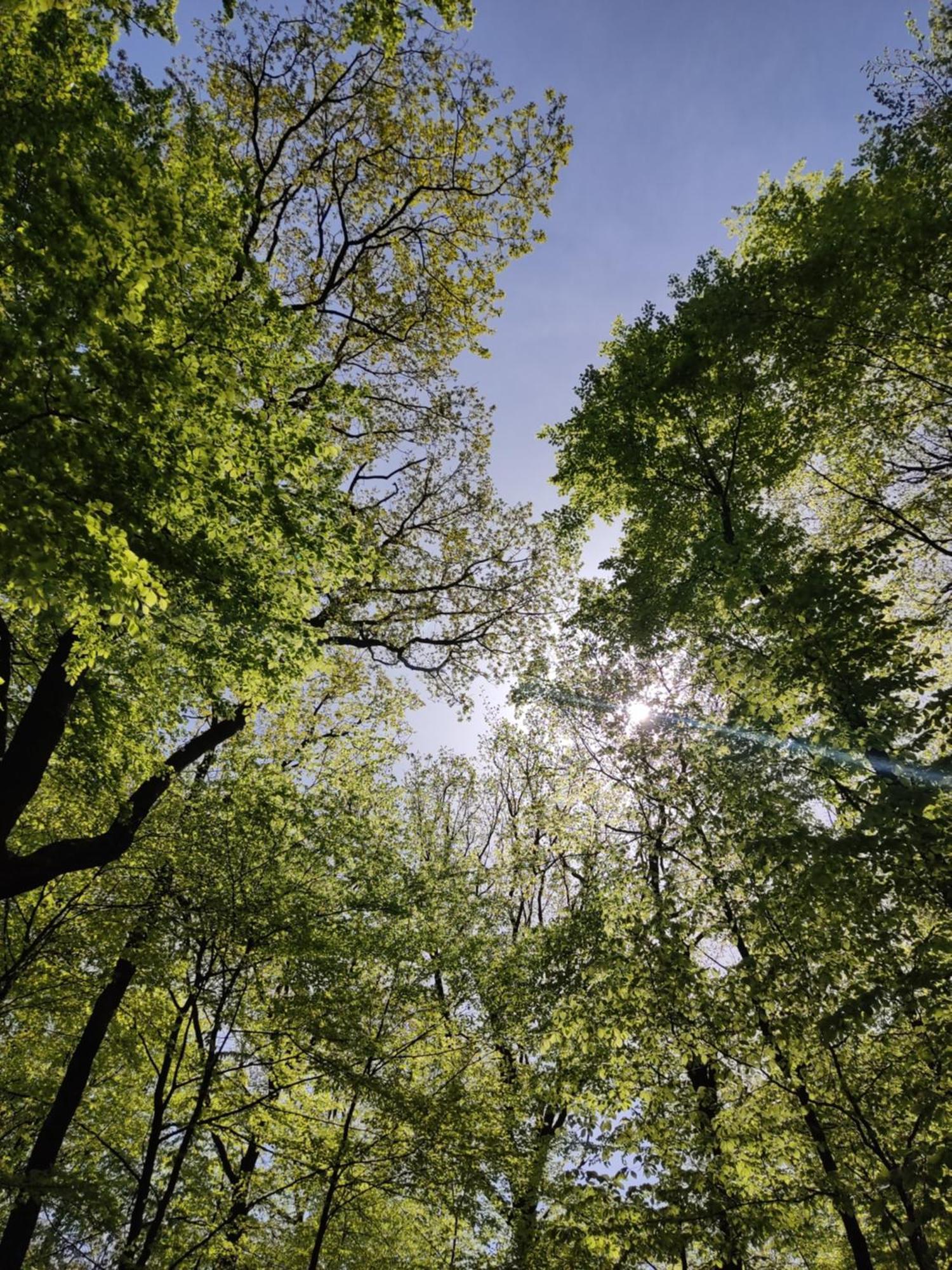 Ferienhaus Moehnetal Allagen Luaran gambar